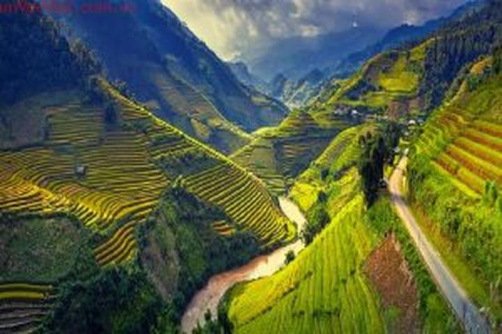 Hotspot Matrix: Biến Cuộc sống của nữ nghệ sĩ đình thành cơ hội marketing đột phá