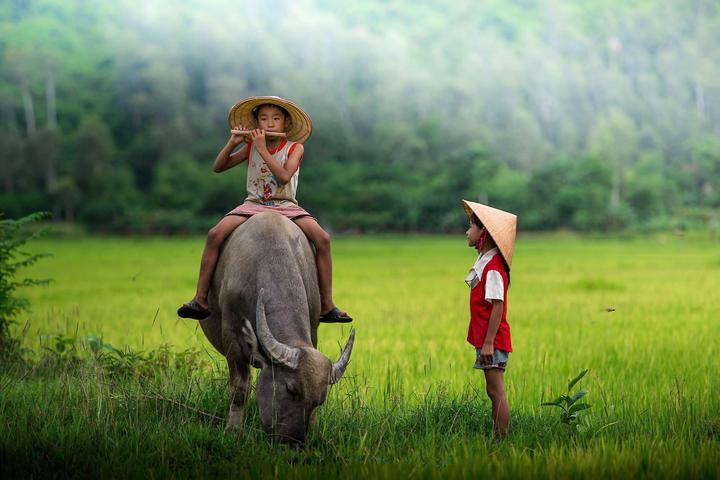 Hotspot Matrix: Động lực hay Áp lực cho Nhà Sáng Tạo Nội Dung?