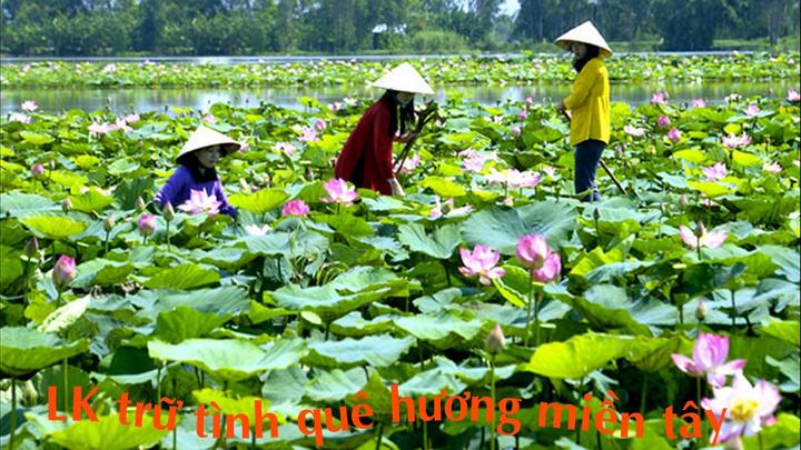 1. Tiêu đề: [Hotspot Matrix] Những cú trở ngại trở thành David Beckham của bóng đá: