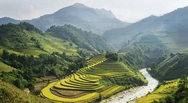 Sốc: Vụ tố